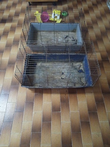 Lotto gabbie usate trixie - lotto,