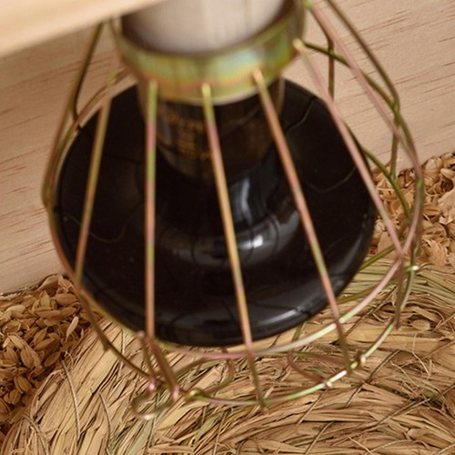 Lampada riscaldante per